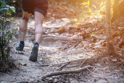 Male running training for cross country forest trail race on a nature trail.