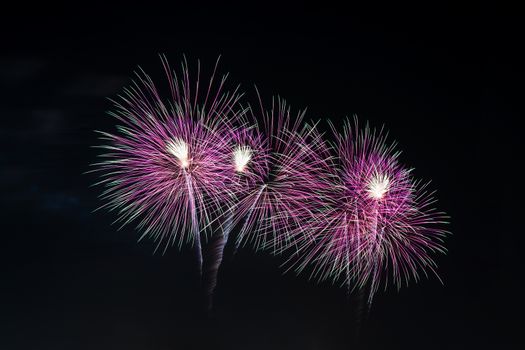 Colorful fireworks display at holiday night.