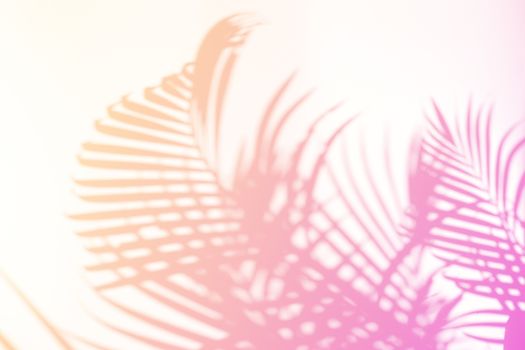 Tropical palm leaves natural shadow overlay on pastel gradient texture background, for overlay on product presentation, backdrop and mockup, summer seasonal concept, minimal trend style
