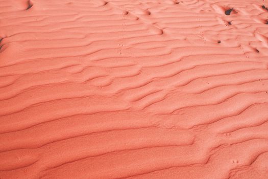 Living Coral color background, Color of the year 2019, Texture of sand dune in the desert 
