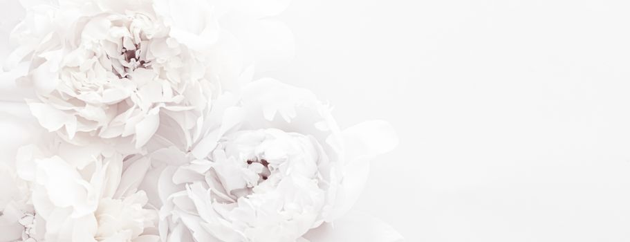 Pure white peony flowers as floral art background, wedding decor and luxury branding design