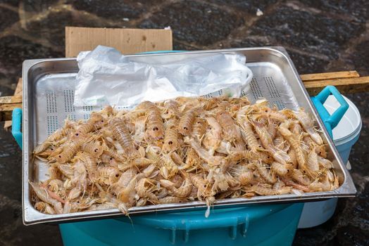 Fresh prawns on the fish market in Catania, Sicily, Italy