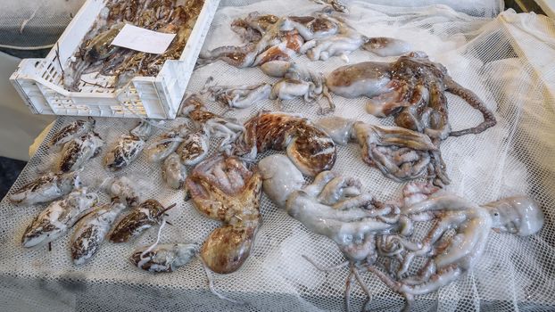 Octopuses and squid at the fish market in Catania, Sicily, Italy