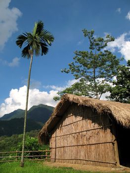 -- an aboriginal straw hut in Taiwans mountains