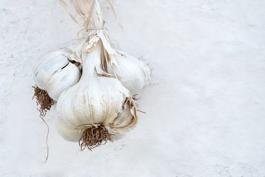 Bunch of ripe garlic hanging on the white wall with copy space