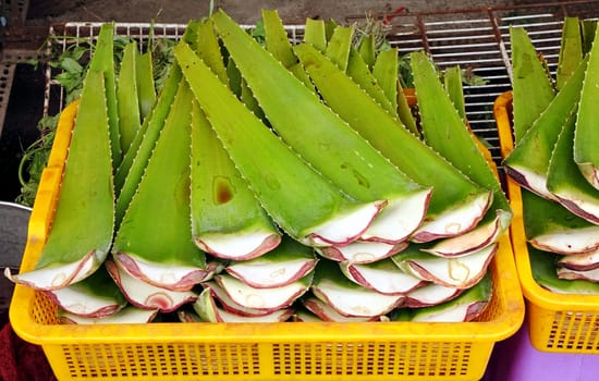 A herbal store sells Aloe Vera leaves for medicinal purposes
