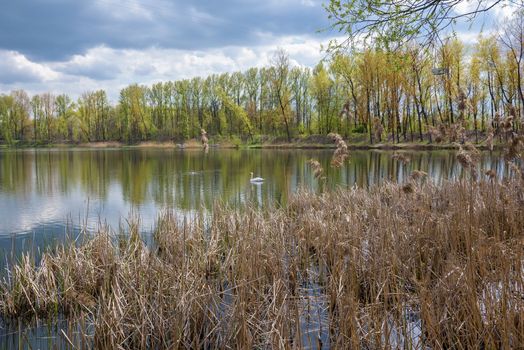 Spring view of the Stawiki lake on the border between Sosnowiec and Katowice cities, Poland