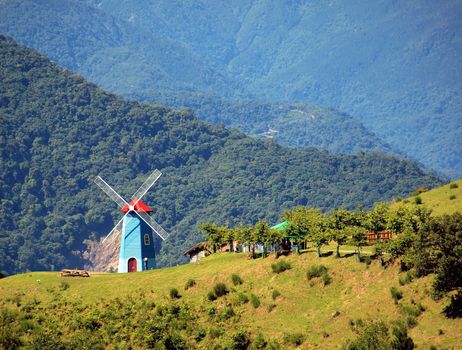 A lush alpine meadow with a windmill and mountains in the background
