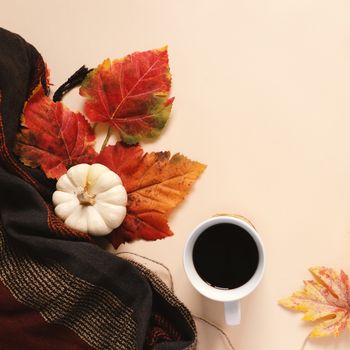 Flatl lay style of autumn and thanksgiving with pumpkin, coffee, scarf and maple leaf, copy space