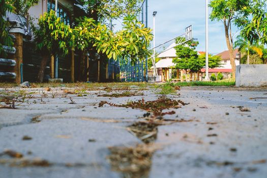 Walkway in the public park to the basketball sport field