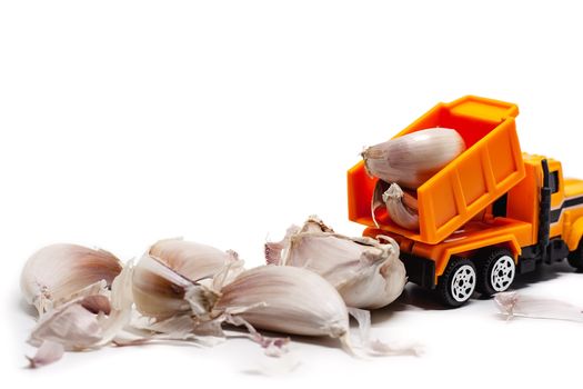 A yellow toy dump truck with garlic on white background for food and transportation concept