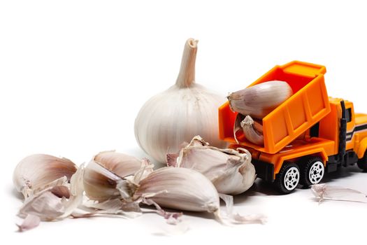 A yellow toy dump truck with garlic on white background for food and transportation concept