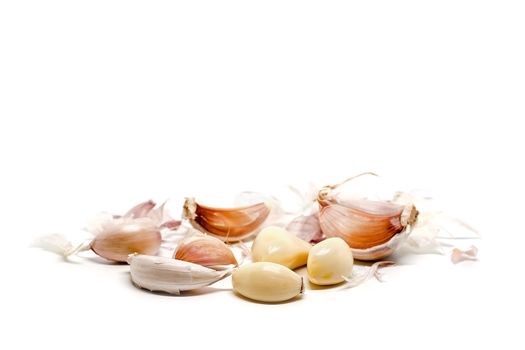 Garlic on white background for food and cooking concept