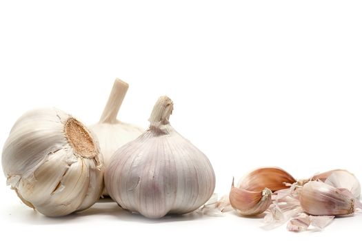 Garlic on white background for food and cooking concept