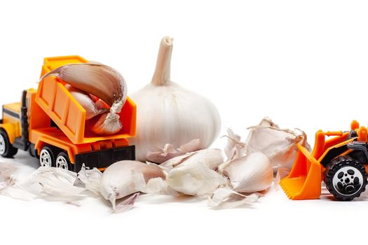 A yellow toy dump truck and bulldozer with garlic on white background for food and transportation concept