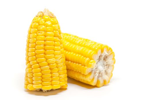 Sweet corn on white background for food ingredients and cooking concept