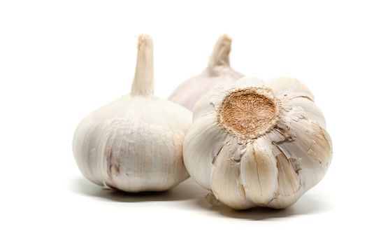 Garlic on white background for food and cooking concept