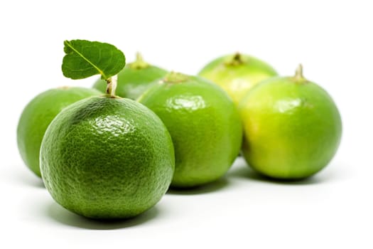 Green lime on white background for food ingredients and cooking concept