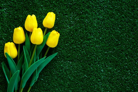 Yellow tulip on green grass background for decoration and love concept