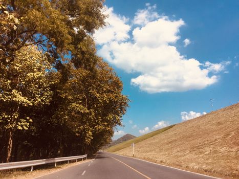 Rural country road amidst green trees with fluffy clouds and blue sky background for travelling and transportation concept