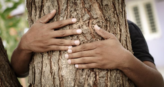 Concept of Chipko movement or Chipko Andolan - Hands hugging tree showing of save tree