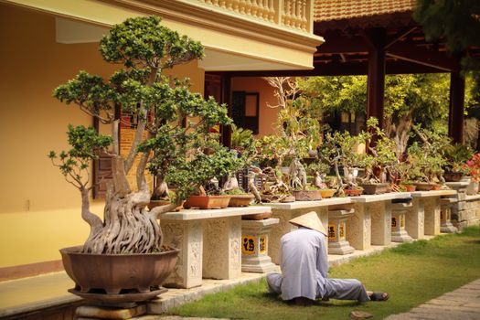 A monk tending to the zen garden in Linh Son Pagoda in Da lat
