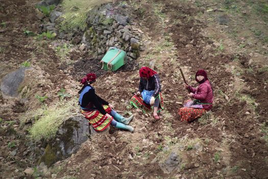 Editorial, Ethnic Hmong women taking a rest after plowing the field in Dong Van, Vietnam