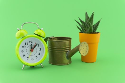 Indoor plant watering schedule concept still life with small vintage metal watering can, classic blue alarm clock and potted succulent plant in ceramic pot, isolated on green background with shadow