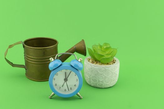 Indoor plant watering schedule concept still life with small vintage metal watering can, classic blue alarm clock and potted succulent plant in ceramic pot, isolated on green background with shadow