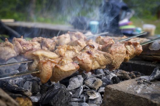 Meat kebabs on metal skewers cooking over the hot coals of a barbecue fire with rising steam or smoke in close up outdoors in a park or garden