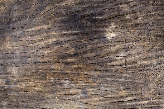 Weathered wooden background, closeup. Aged wooden surface