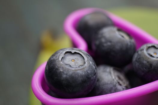 Blueberries in a heart shaped cookie cutter, close up photo with selective focus recipe or bakery concept