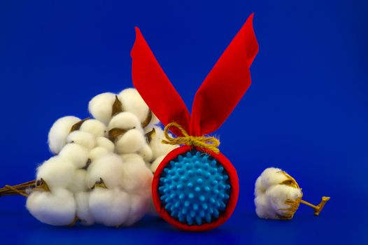 Corona virus models wrapped as gifts and raw cotton bolls growing on the bush on a blue background with copy space