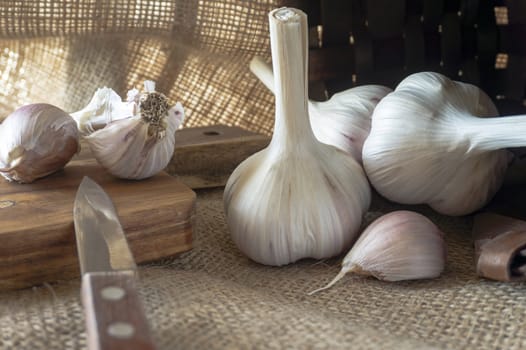 Garlic bulbs in close-up on sack cloth with kitchen knife and wooden cutting board