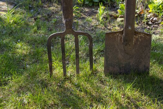 Garden forks and spade or shovel on a green lawn in a concept of spring gardening