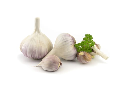 Garlic bulbs, cloves and green parsley twig in close-up isolated on white background