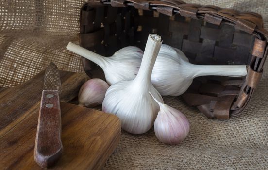 Garlic bulbs and cloves in close-up on sack cloth with kitchen knife and wooden cutting board