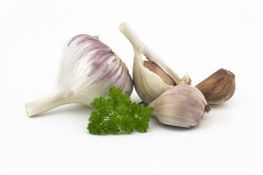 Garlic bulbs, cloves and green parsley twig in close-up isolated on white background