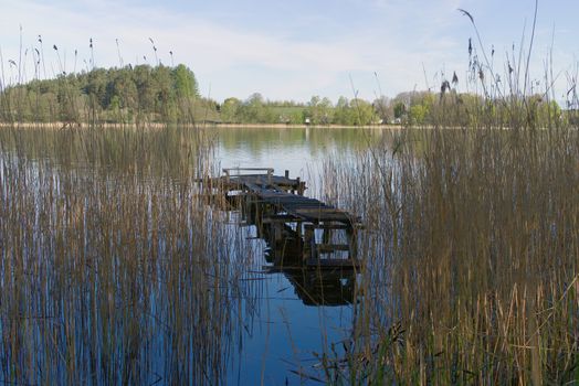 Old rickety wooden jetty on a lake viewed between reeds on the shoreline with reflections on the water