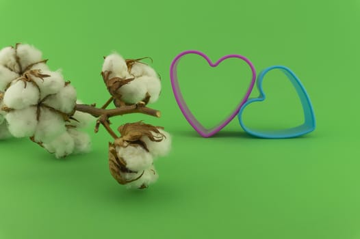 Cotton anniversary concept with colorful heart shaped cookie cutters and cotton bolls over a green background