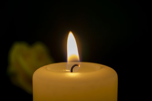 Single burning yellow candle next to rose against dark background