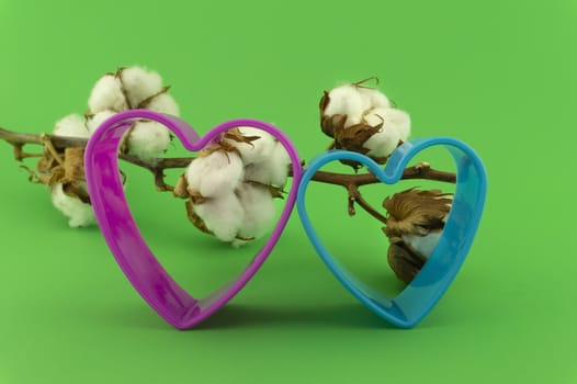 Cotton anniversary concept with colorful heart shaped cookie cutters and cotton bolls behind over a green background