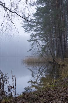 Atmospheric misty autumn landscape with a tranquil lake surrounded by forest trees and colorful foliage on the shore