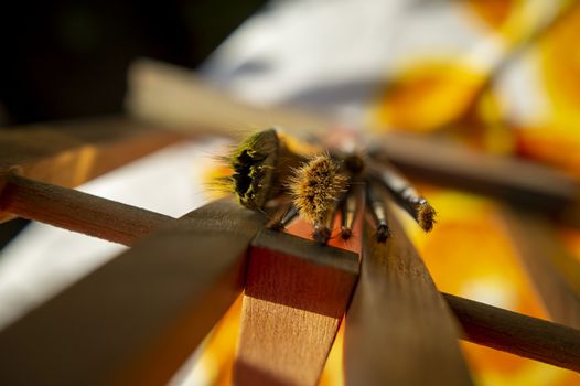 Artistic image with selective focus to the tips of assorted paint brushes resting on a wooden beam with copy space and colorful yellow background
