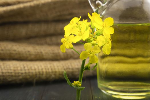 Small sprig of vivid yellow rapeseed flowers with decanter of oil alongside hessian sack fabric with copy space