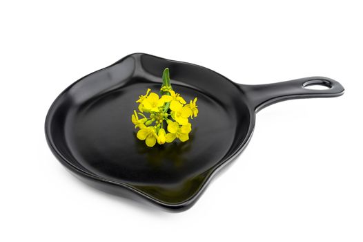 Small sprig of vivid yellow rapeseed flowers on a cast iron skillet over a white background
