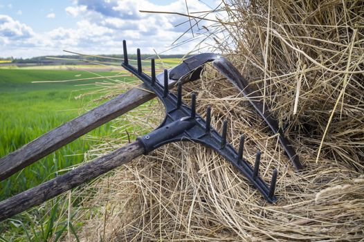 Rake and scythe on dried straw in an agricultural field in spring viewed in close up on the tools