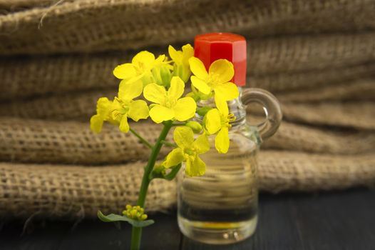 Small sprig of vivid yellow rapeseed flowers with decanter of oil alongside hessian sack fabric with copy space