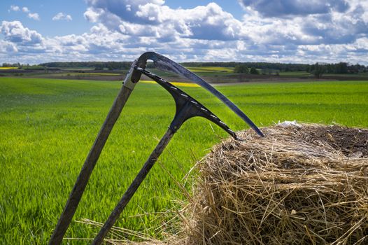 Rake and scythe on dried straw in an agricultural field in spring viewed in close up on the tools