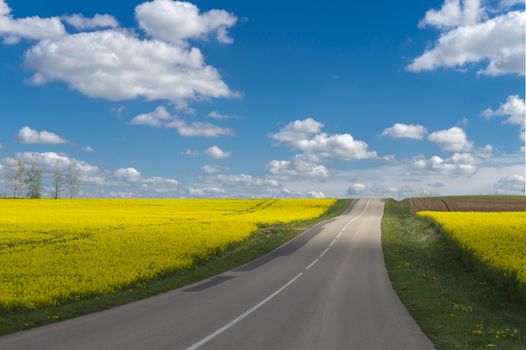 Empty asphalt road through picturesque countryside landscape with beautiful yellow fields under the blue sky with white clouds